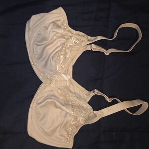 Lilyette Lace Accent Bra in Tan